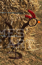 Horseshoe Chicken