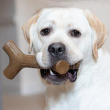 Benebone Maplestick