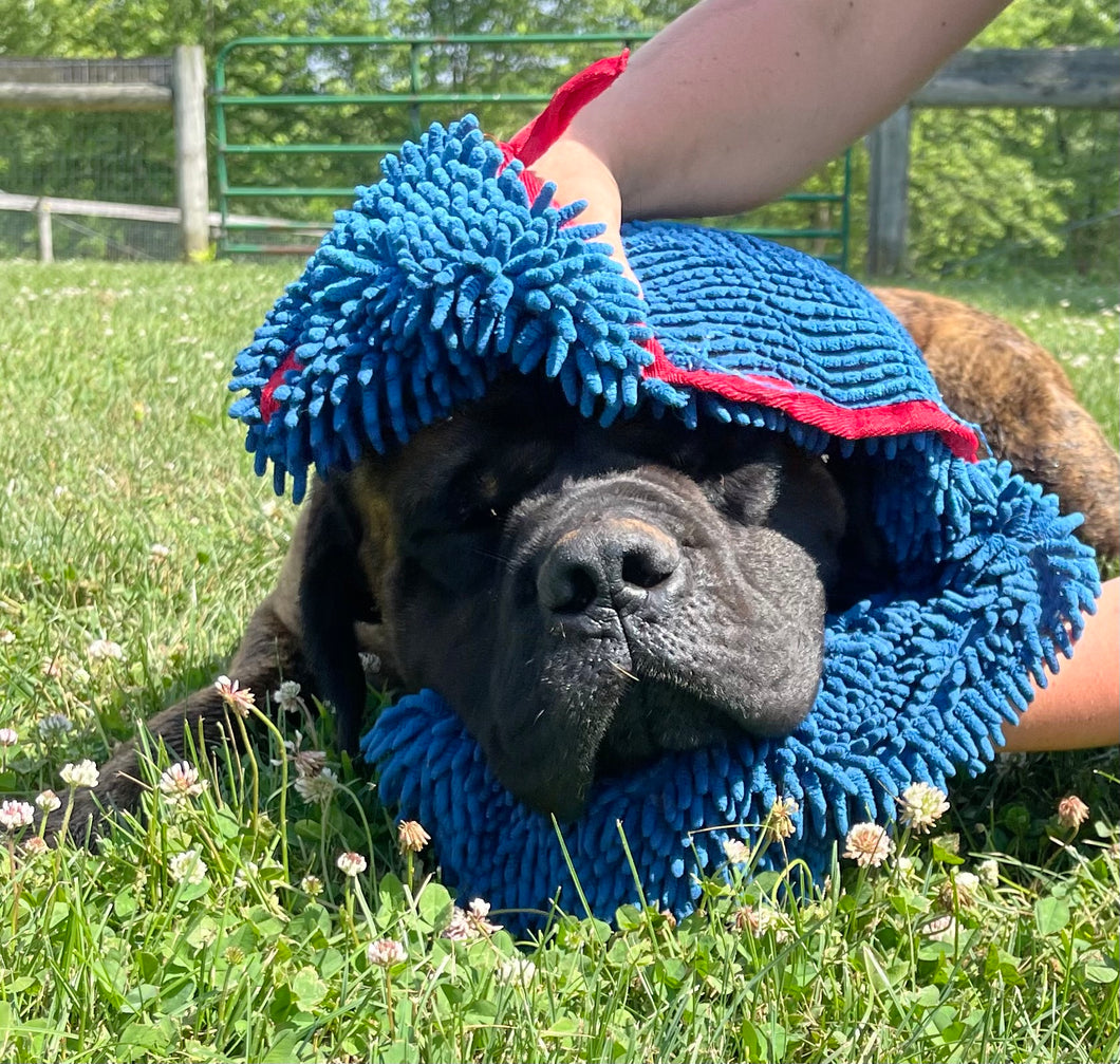 Pet shammy