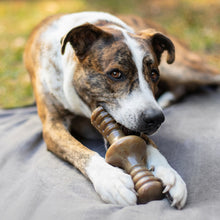 Benebone Giant Zaggler