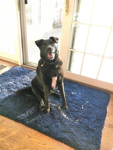 XL absorbent mat with bone