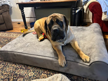 Original Orthopedic Washable and waterproof Bully Bed