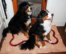 XL absorbent mat with bone