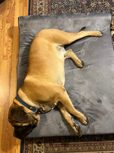 Original Orthopedic Washable and waterproof Bully Bed