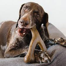 Giant Benebone wishbone