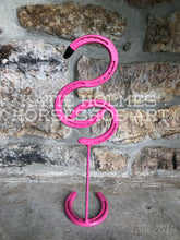 Horseshoe Flamingo