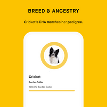 Embark for Breeders Full DNA Health Test for Purebred Dogs