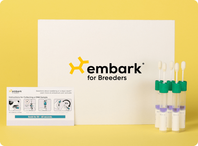 Embark for Breeders Full DNA Health Test for Purebred Dogs