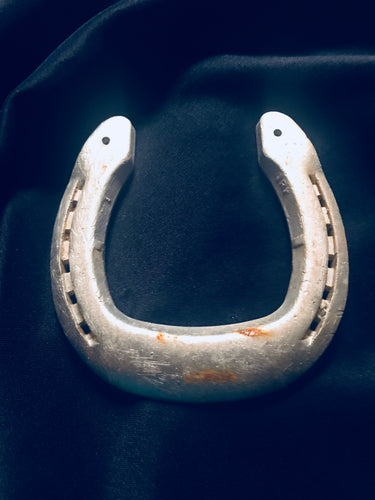 Lucky horseshoe