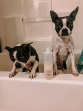 Monat Pet Gentle Cleansing Shampoo