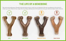 Giant Benebone wishbone