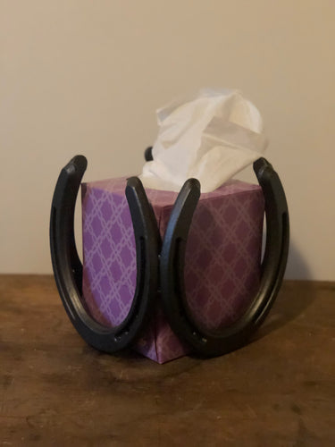 Tissue box holder